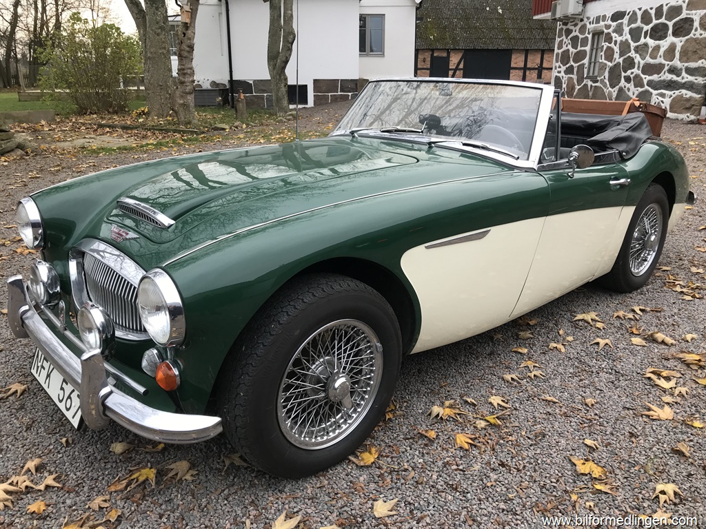 Bild 1 på Austin Healy
