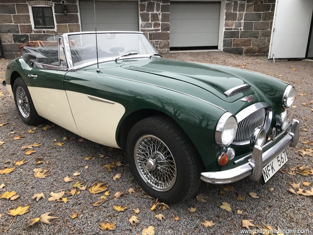 Bild 4 på Austin Healy