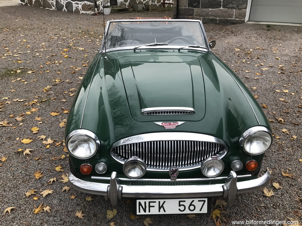 Bild 5 på Austin Healy