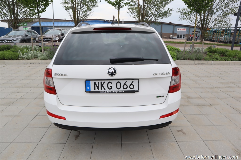 Bild 12 på Skoda Octavia